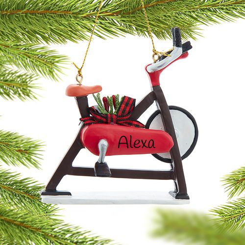Personalized Exercise Bicycle