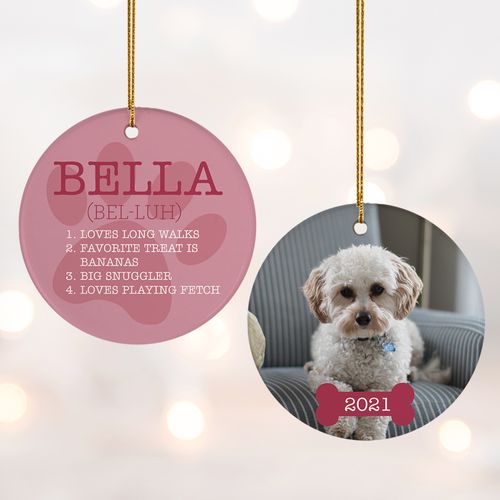 Personalized All About Pet