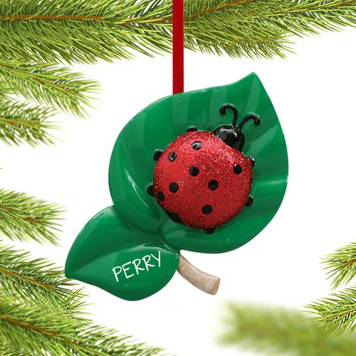 Personalized Ladybug