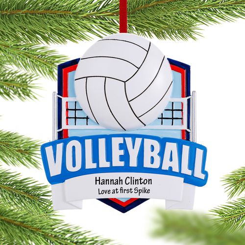 Volleyball Net Holiday Ornament