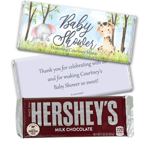 Baby Shower Personalized Chocolate Bar Favors