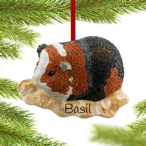 Personalized Guinea Pig
