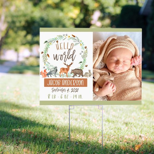 Personalized Baby Shower Yard Sign - Hello World Baby Shower