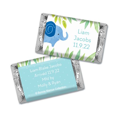 Safari Snuggles Baby Boy Personalized Miniature Wrappers
