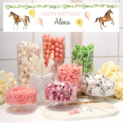 Personalized Deluxe Horse Birthday Candy Buffet - Wild Horse