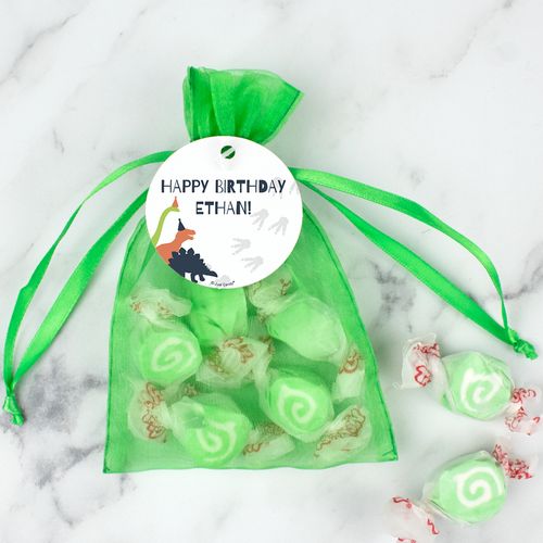 Personalized Dinosaur Birthday Taffy Organza Bags - Green Dinosaur