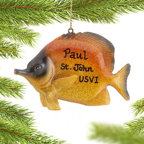 Personalized Golden Reef Butterflyfish