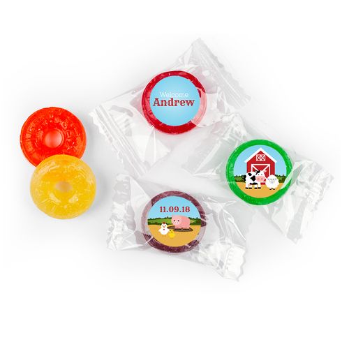 Baby Barnyard Personalized Baby Boy LifeSavers 5 Flavor Hard Candy Assembled